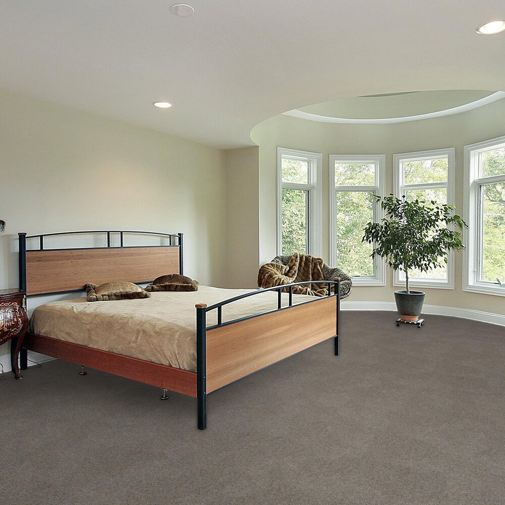 Dream Weaver Serene II Carpet in Ozark, , large