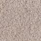 Anderson Tuftex Luxe Feel I Carpet in Sterling, , large