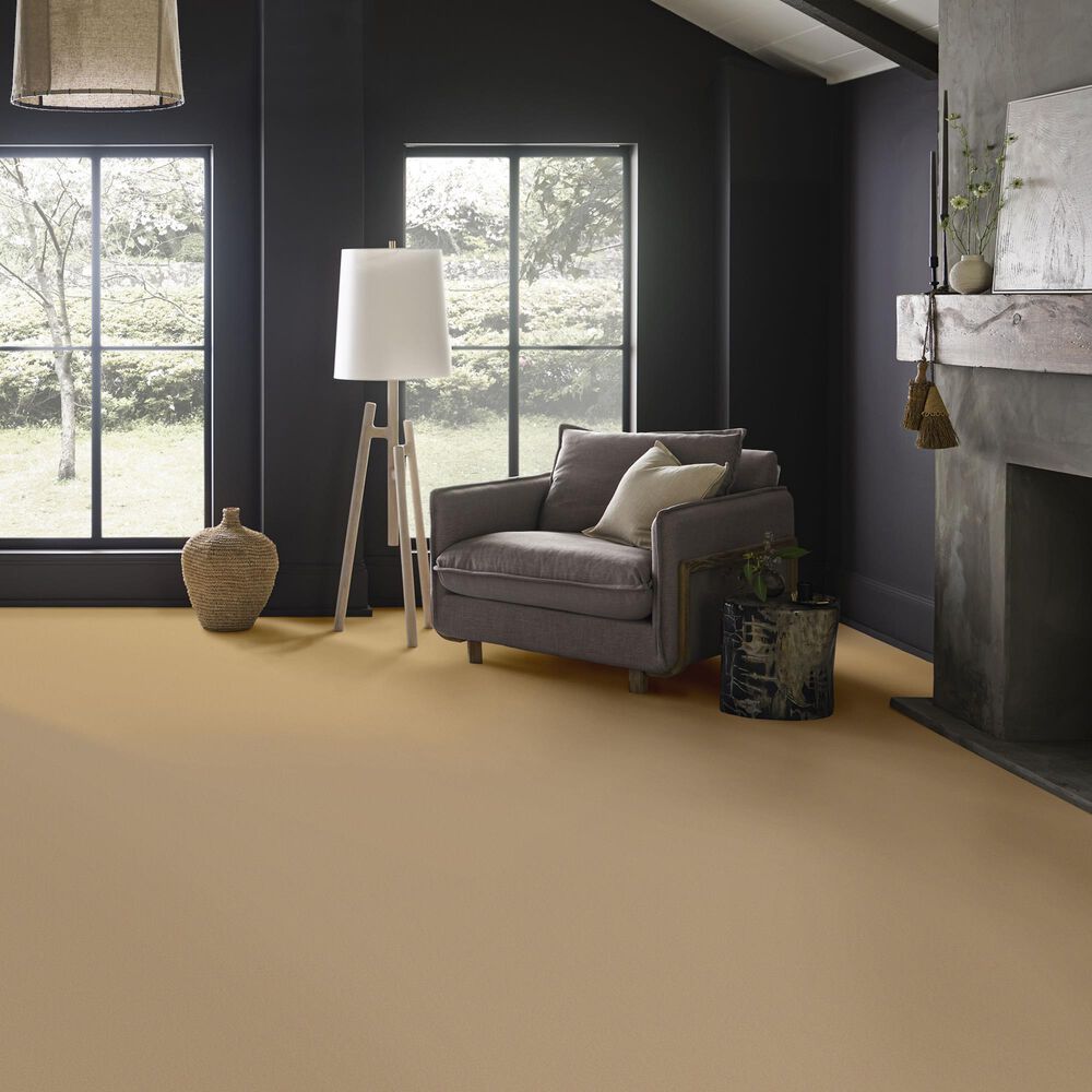 Anderson Tuftex Finery Carpet in Burlap, , large