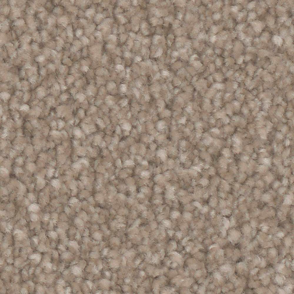 Phenix Oasis Gold Carpet in Camel, , large