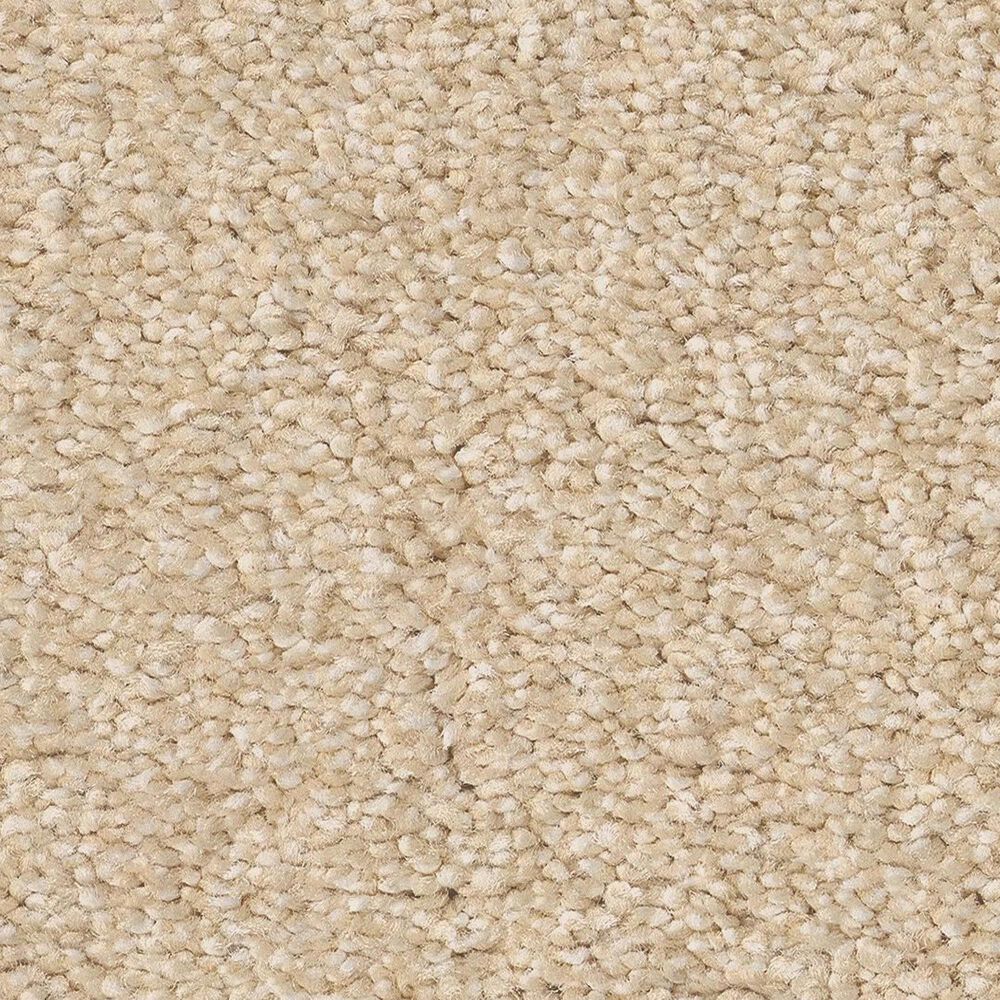 Anderson Tuftex Cypress Falls Carpet in Halo, , large