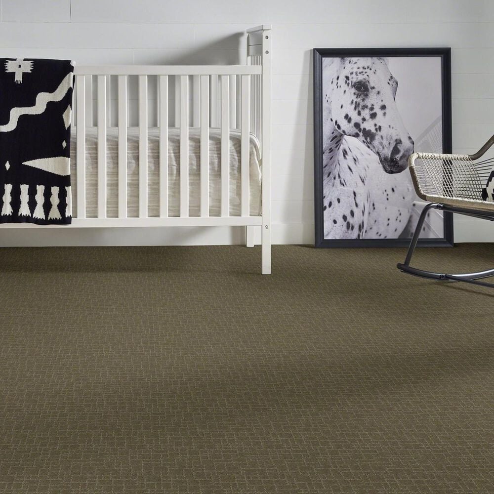 Anderson Tuftex New Tricks Carpet in Dry Sage, , large
