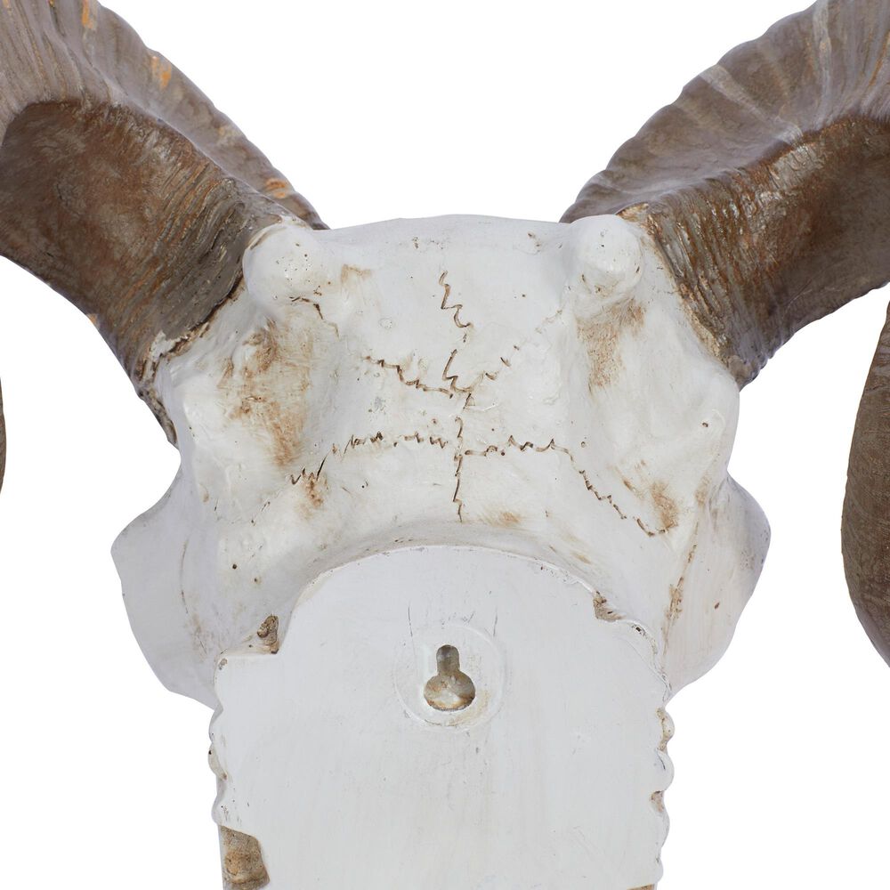Maple and Jade 12&quot; x 14&quot; Farmhouse Sheep Skull Wall Decor in White and Bronze, , large