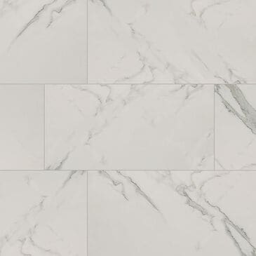 MS International Regallo Calacatta Isla 24" x 48" Matte Porcelain Tile, , large