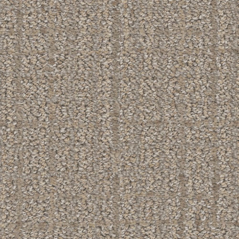 Dixie Home Engaging Carpet in Driftwood, , large