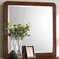 Pacific Landing Robyn Dresser Mirror in Dark Walnut, , large