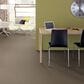 Shaw Simply the Best Attainable Carpet in Pebble Path, , large
