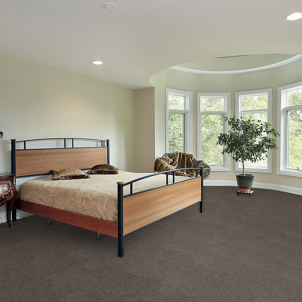 Dream Weaver Serene II Carpet in Ridgeview, , large