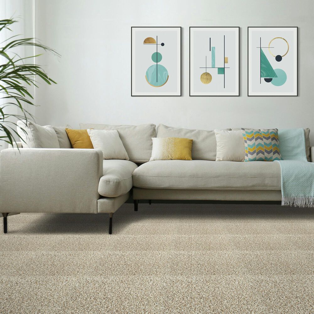 Mohawk Assorted Elements I Carpet in Sanderling, , large