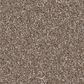 Shaw Imaginable I Carpet in Weathered, , large