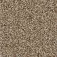 Shaw Tonal Comfort II Carpet in Falling Leaves, , large