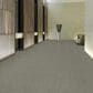 Shaw Fair Shake Carpet in Pledge, , large