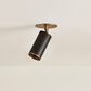 Troy Lighting Caleb 1-Light Flush Mount in Patina Brass and Bronze, , large