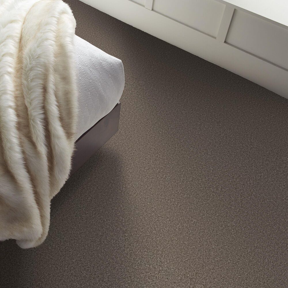 Shaw Artistic Fusion II Carpet in Urban Rustic, , large