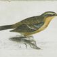 Maple and Jade 22" x 27" Birds Framed Wall Art in Green and White (Set of 2), , large