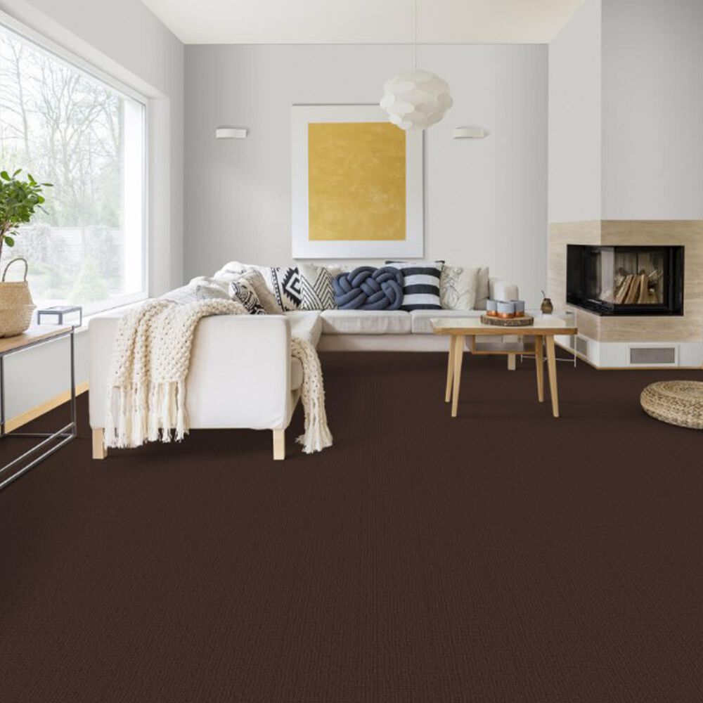 Dixie Home Galliard Carpet in Threshold, , large