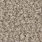 Shaw Bold Move Plus Carpet in Oatmeal, , large