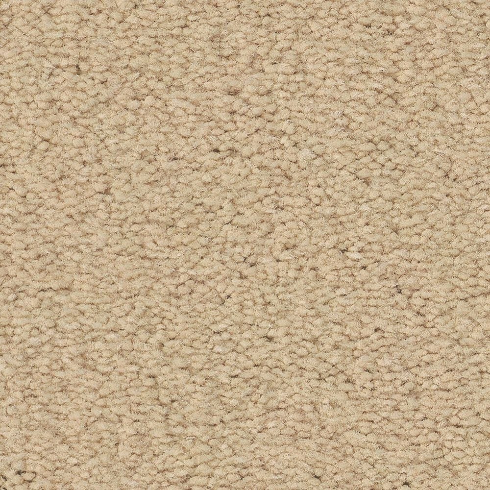Anderson Tuftex Finery Carpet in Fresh Cream, , large