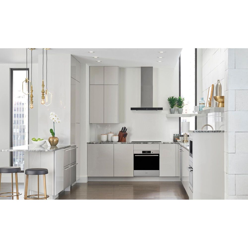 Wolf Appliances E Series 24" Single Electric Wall Oven with Convection in Stainless Steel, , large