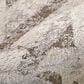 Feizy Vancouver 39NQF 9" x 12" Beige and Brown Area Rug, , large