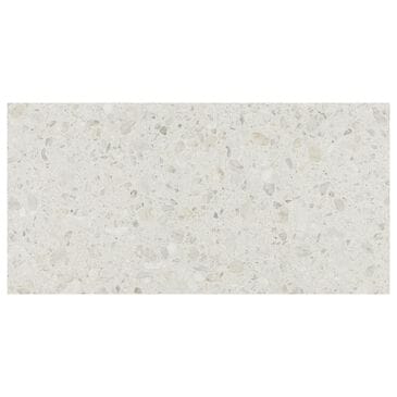 Dal-Tile Outlander Medio Sterling 24" x 48" Porcelain Tile, , large