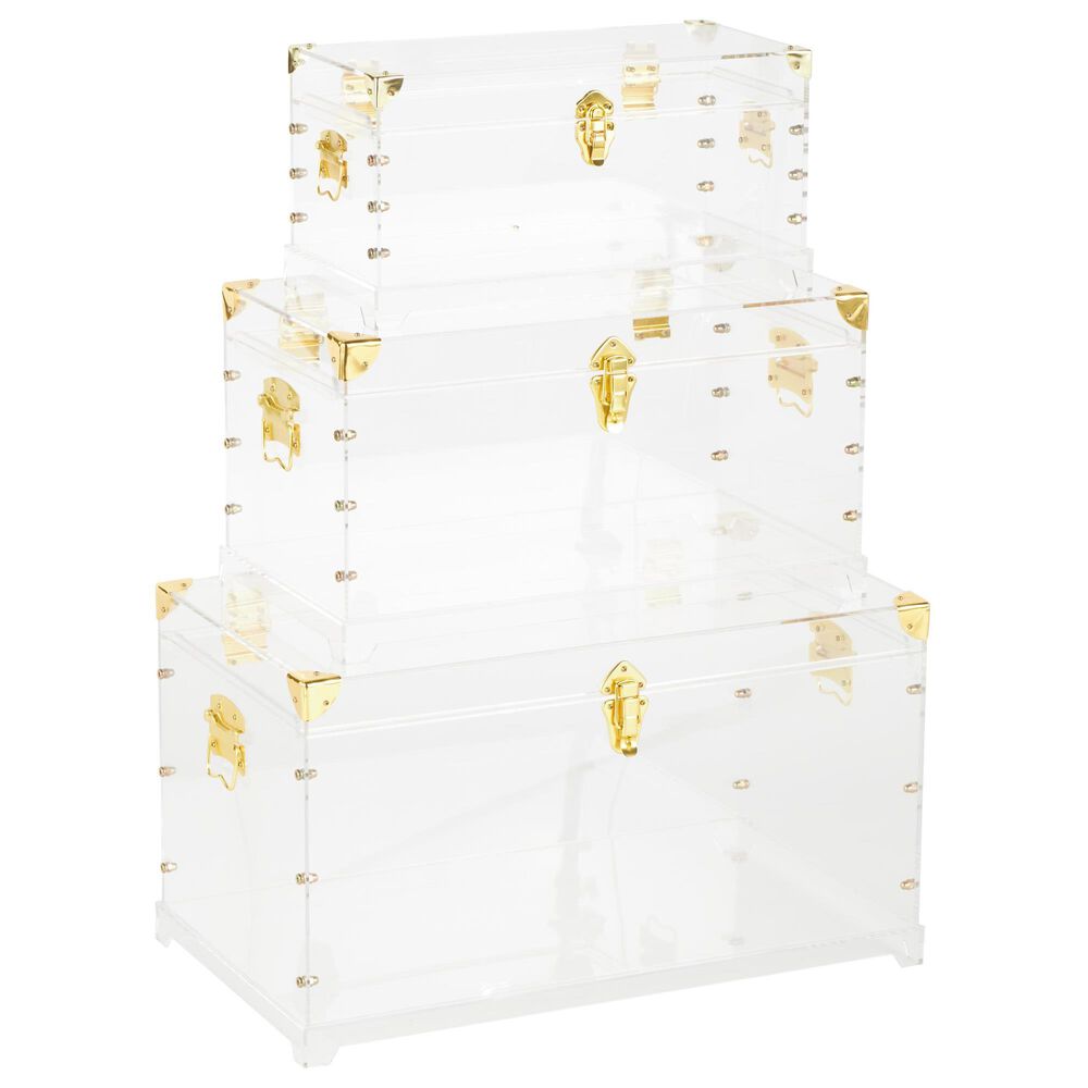 Maple and Jade 3-Piece Storage Decorative Trunk Set in Clear, , large
