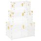 Maple and Jade 3-Piece Storage Decorative Trunk Set in Clear, , large