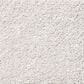 Shaw Your Comfort I Carpet in Whitewashed Frame, , large