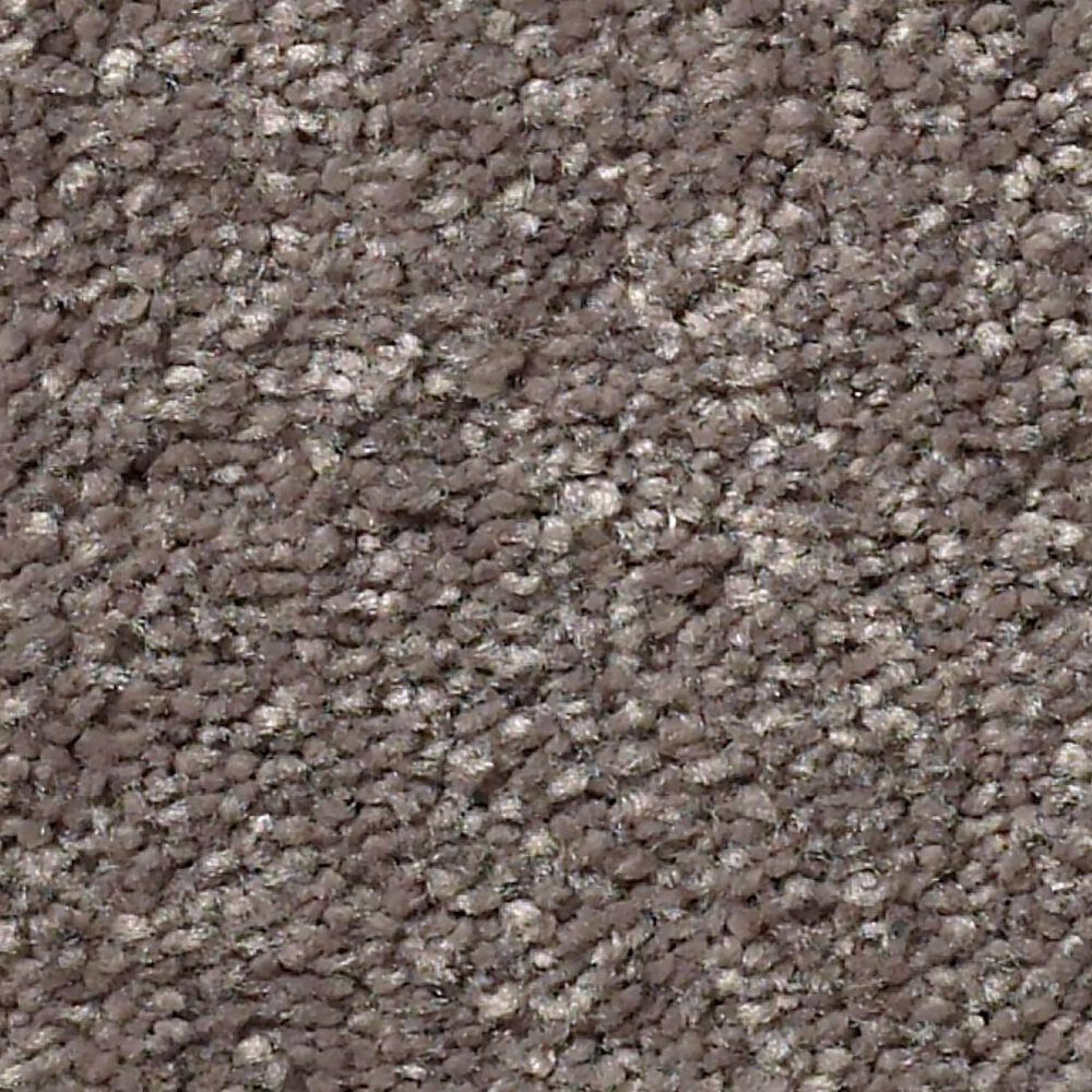 Shaw Well Grounded I 15" Carpet in Pewter, , large