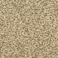 Dixie Home Carefree Carpet in Mill Stone, , large