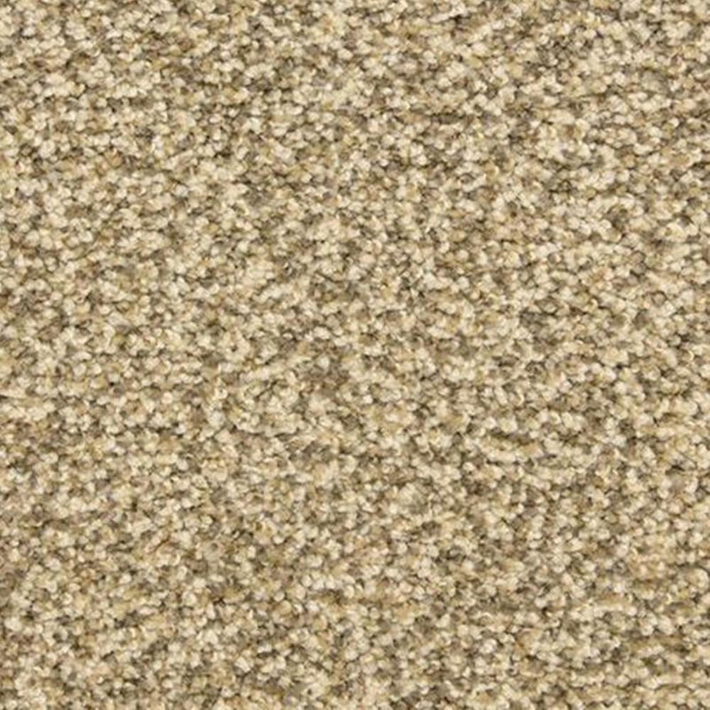 Dixie Home Carefree Carpet in Mill Stone, , large