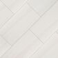 MS International Eden Dolomite 12" x 24" Matte Porcelain Tile, , large
