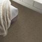 Shaw Del Morro Carpet in Denali, , large