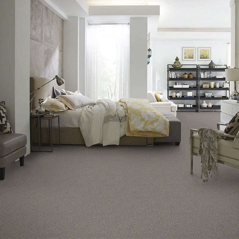 Anderson Tuftex Barracan Classic II Carpet in Barnboard, , large