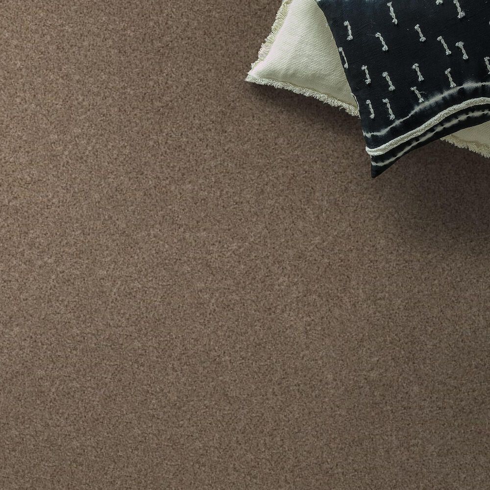 Anderson Tuftex West Peak Carpet in Bungalow, , large
