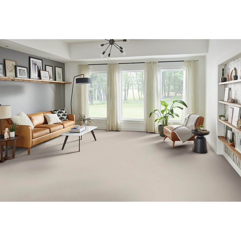 Phenix Mesh Carpet in Knit, , large