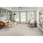 Phenix Mesh Carpet in Knit, , large