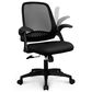 HOMLUX Swivel Ergonomic Office Chair with Flip Up Arms in Black, , large