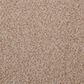 Masland Granique Carpet in Ammonite, , large