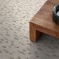 Anderson Tuftex Evoke Carpet in Vintage Find, , large