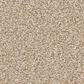 Anderson Tuftex Cypress Falls Carpet in Tinsel, , large