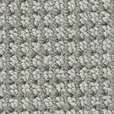 Anderson Tuftex Inspired Carpet in Titanium, , large