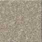 Shaw Way To Go I Carpet in Desert Khaki, , large