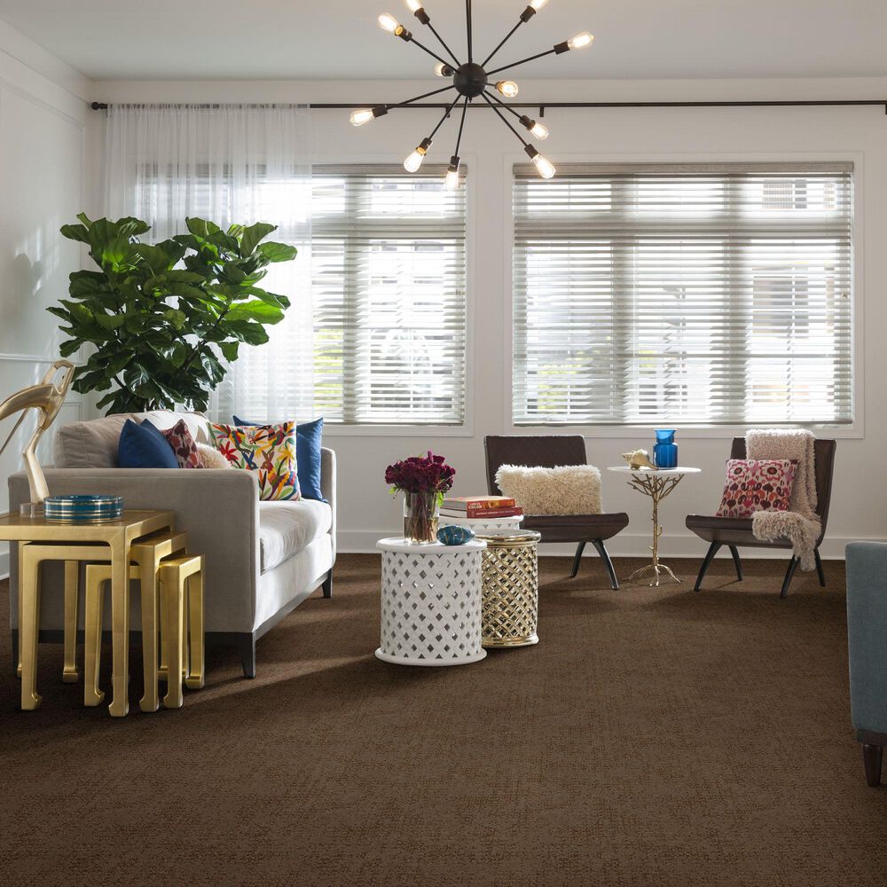 Anderson Tuftex Caress  Artistic Presence Carpet in Raw Wood, , large