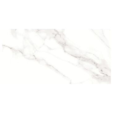 Emser Contessa Dama 3" x 6" Polished Porcelain Tile, , large