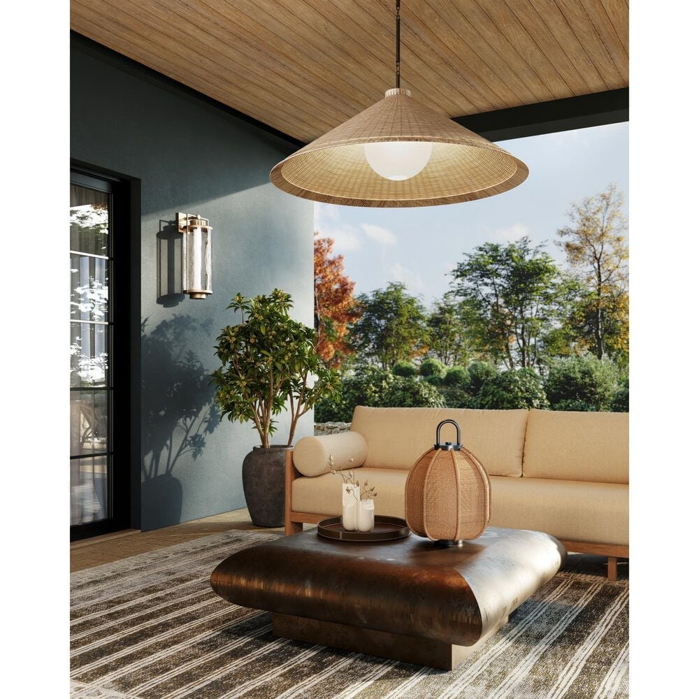 Troy Lighting Devlin 44" 1-Light Exterior Pendant in Bronze, , large