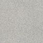Dream Weaver Prismatic III Carpet in Compliment, , large