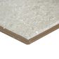 Emser Caru Rengo 12" x 24" Matte Ceramic Tile, , large