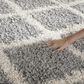 Safavieh Dallas Shag SGD258G-10 10" x 14" Grey/Ivory Area Rug, , large