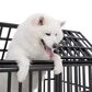 HOMLUX 52" Heavy Duty Dog Cage Pet Crate with Roof and Window on Roof in Black, , large